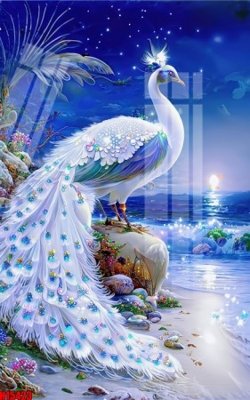 File ảnh File tranh gốc in tranh tường nền tổng hợp H15423 (gốc) in PP, decal