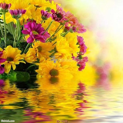 Download file gốc file tranh hoa H159 (in mica) trong suốt