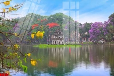 File gốc File tranh gốc in tranh tường nền tổng hợp H16191 (ảnh chi tiết) để in trần