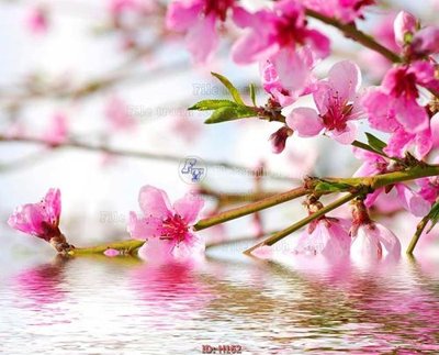 Ảnh gốc file tranh hoa H162 (siêu chi tiết) để in ấn