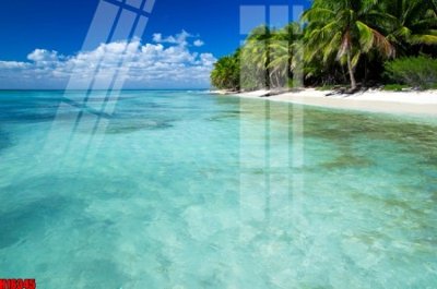 File gốc File tranh gốc in tranh tường nền tổng hợp H16345 (ảnh rõ nét) để in