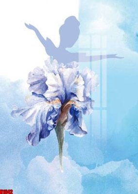 File in mica File tranh decor tranh bộ treo tường tổng hợp H1642 (bản gốc) siêu trong