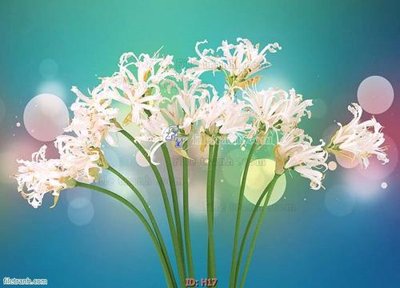 Tệp tin gốc file tranh hoa H17 (dùng cho in ấn) chuyên nghiệp