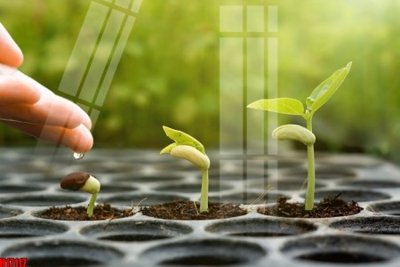 File tranh File tranh gốc in tranh tường nền tổng hợp H17117 (ảnh gốc) in trần 3D