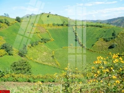 File gốc File tranh gốc in tranh tường nền tổng hợp H17306 (trang trí) phòng ngủ