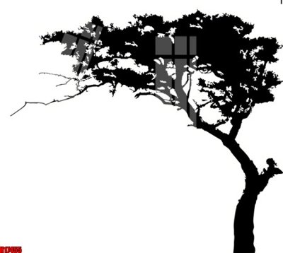 File in trần File tranh gốc in tranh tường nền tổng hợp H17455 (bản gốc) hoa văn