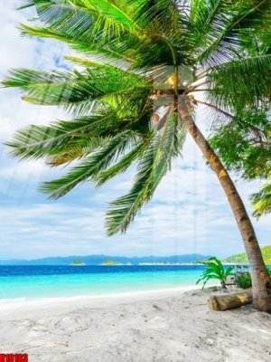 Download file File tranh gốc in tranh tường nền tổng hợp H18183 (gốc) in mica ốp bếp