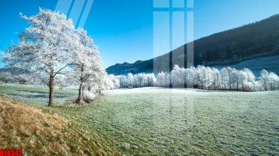 Tải file PSD File tranh gốc in tranh tường nền tổng hợp H18342 (nguyên layer) để in