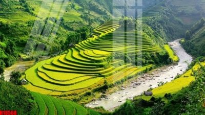 File tranh File tranh gốc in tranh tường nền tổng hợp H18568 (ảnh gốc) in trần 3D