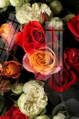 File tranh File tranh gốc in tranh tường nền tổng hợp H18594 (ảnh gốc) không bị mờ