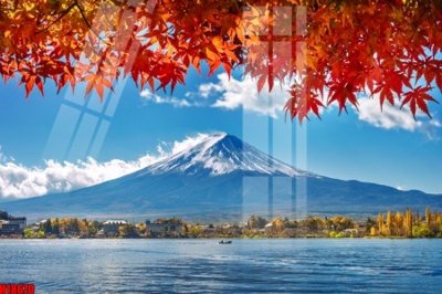 File gốc File tranh gốc in tranh tường nền tổng hợp H18670 (trang trí) phòng ngủ