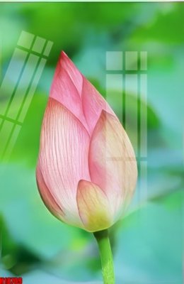 File PSD File tranh gốc in tranh tường nền tổng hợp H18709 (bản gốc) cho nhà in