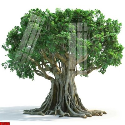 File tranh File tranh gốc in tranh tường nền tổng hợp H18786 (ảnh gốc) in trần nhà