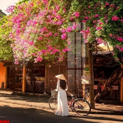 File gốc File tranh gốc in tranh tường nền tổng hợp H18875 (phong cách) cổ điển