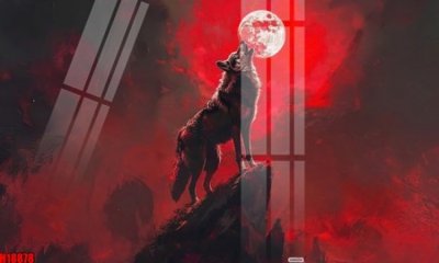 File tranh File tranh gốc in tranh tường nền tổng hợp H18878 (gốc) chủ đề tĩnh vật