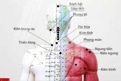 Download file tranh PSD File tranh gốc in tranh tường nền tổng hợp H18891 để chỉnh sửa