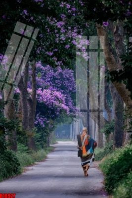 File tranh File tranh gốc in tranh tường nền tổng hợp H18927 (gốc) chủ đề trừu tượng