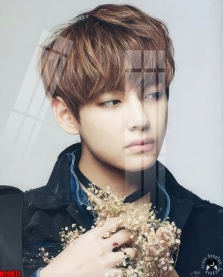 File tranh File tranh gốc in tranh tường nền tổng hợp H19071 (gốc) in film