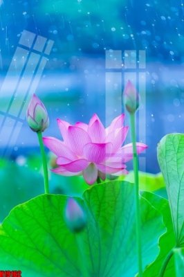 File tranh File tranh gốc in tranh tường nền tổng hợp H19162 (gốc) chủ đề tĩnh vật