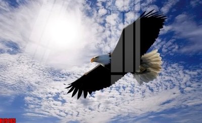 File gốc File tranh gốc in tranh tường nền tổng hợp H19185 (in mica) làm quà tặng