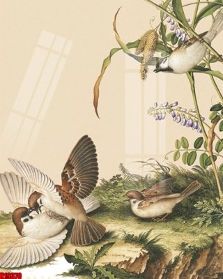 File gốc File tranh gốc in tranh tường nền tổng hợp H19370 (phiên bản chuẩn) để in ấn