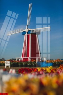 Tải file gốc File tranh gốc in tranh tường nền tổng hợp H20448 (in tráng gương) 5DFile gốc File tranh gốc in tranh tường nền tổng hợp H20448 (in ấn) phiên bản premium