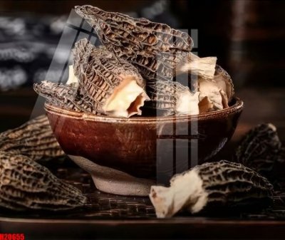 File tranh File tranh gốc in tranh tường nền tổng hợp H20655 (gốc) chủ đề động vật