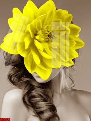 File tranh File tranh gốc in tranh tường nền tổng hợp H20833 (ảnh gốc) chi tiết rõ ràng