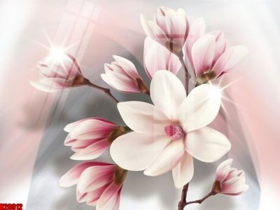 File gốc File tranh gốc in tranh tường nền tổng hợp H20912 (cho in ấn) từ kho Filetranh