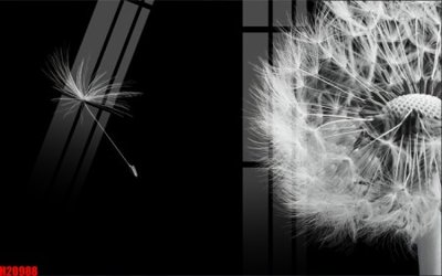 File gốc File tranh gốc in tranh tường nền tổng hợp H20988 (ảnh chi tiết) để in lụa