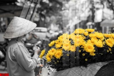 Tải file File tranh gốc in tranh tường nền tổng hợp H21100 (ảnh gốc) in gạch men