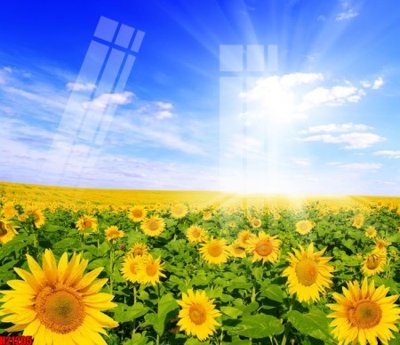 File gốc File tranh gốc in tranh tường nền tổng hợp H21205 (thiết kế) cho in ấn