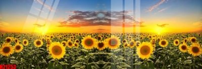 File in trần File tranh gốc in tranh tường nền tổng hợp H21253 (file gốc) phong thủy