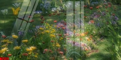 File ảnh File tranh gốc in tranh tường nền tổng hợp H21271 (gốc) in Hiflex