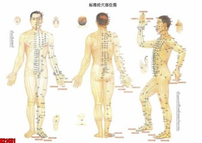 Tải file gốc File tranh gốc in tranh tường nền tổng hợp H21431 (để in lụa)