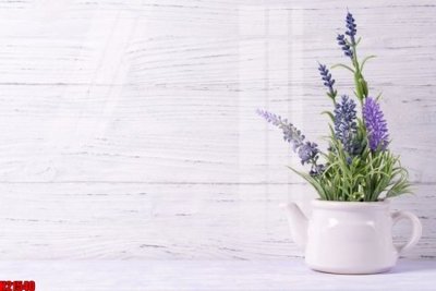 File in mica File tranh gốc in tranh tường nền tổng hợp H21540 (bản gốc) siêu trong