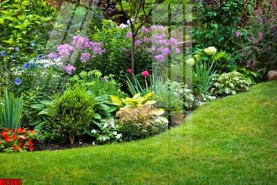 File tranh gốc in trần nhà File tranh gốc in tranh tường nền tổng hợp H21561 3D