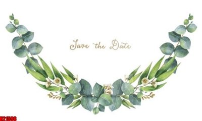 File PSD File tranh gốc in tranh tường nền tổng hợp H21596 (nguyên bản) cho thiết kế