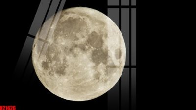 File gốc File tranh gốc in tranh tường nền tổng hợp H21626 (trang trí) phòng ngủ