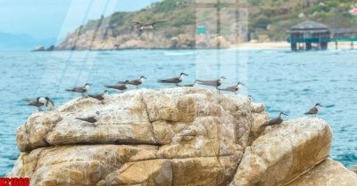 File gốc File tranh gốc in tranh tường nền tổng hợp H21666 (trang trí) phòng ngủ