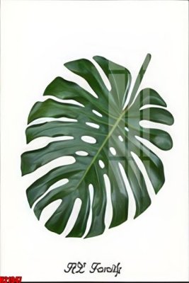 File gốc File tranh gốc in tranh tường nền tổng hợp H21947 (vector) cho in ấn