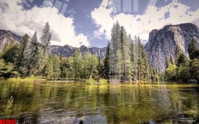 Ảnh gốc File tranh gốc in tranh tường nền tổng hợp H22037 (siêu chi tiết) để in ấn