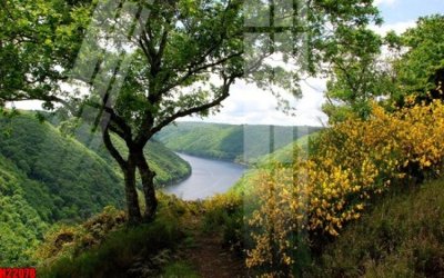 File tranh gốc File tranh gốc in tranh tường nền tổng hợp H22078 (bản quyền) độc đáo