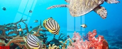 Tải file File tranh gốc in tranh tường nền tổng hợp H22123 (gốc) chủ đề phong thủy