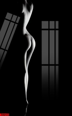 File in trần File tranh gốc in tranh tường nền tổng hợp H22351 (bản gốc) đại dương