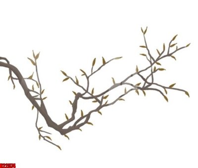 File ảnh File tranh gốc in tranh tường nền tổng hợp H22574 (gốc) cho trang trí nội thất