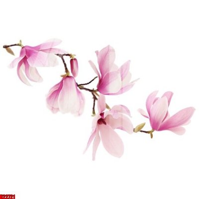 Tải file tranh File tranh gốc in tranh tường nền tổng hợp H22721 (gốc) tại Filetranh.com