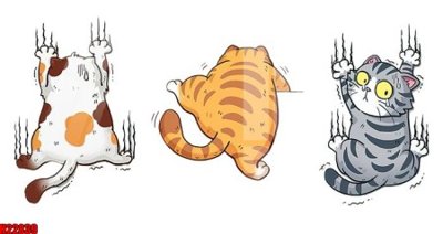 File tranh File tranh gốc in tranh tường nền tổng hợp H22839 (ảnh gốc) in trần 3D