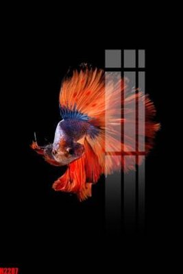 Tải file File tranh decor tranh bộ treo tường tổng hợp H2287 (ảnh gốc) in gạch men