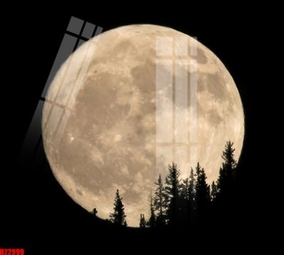 Tải file tranh gốc File tranh gốc in tranh tường nền tổng hợp H22999 chất lượng cao